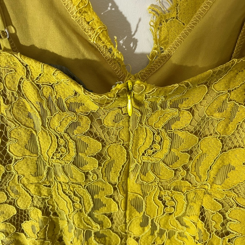 Akira Lace Mini Dress - Picture 3 of 6